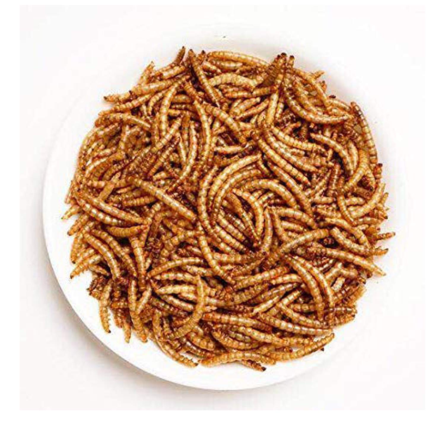 Amzey Gusanos de Harina Deshidratados — Alimento Natural Alto en Proteína para Pollos, Aves, Peces, Tortugas, Patos y Reptiles