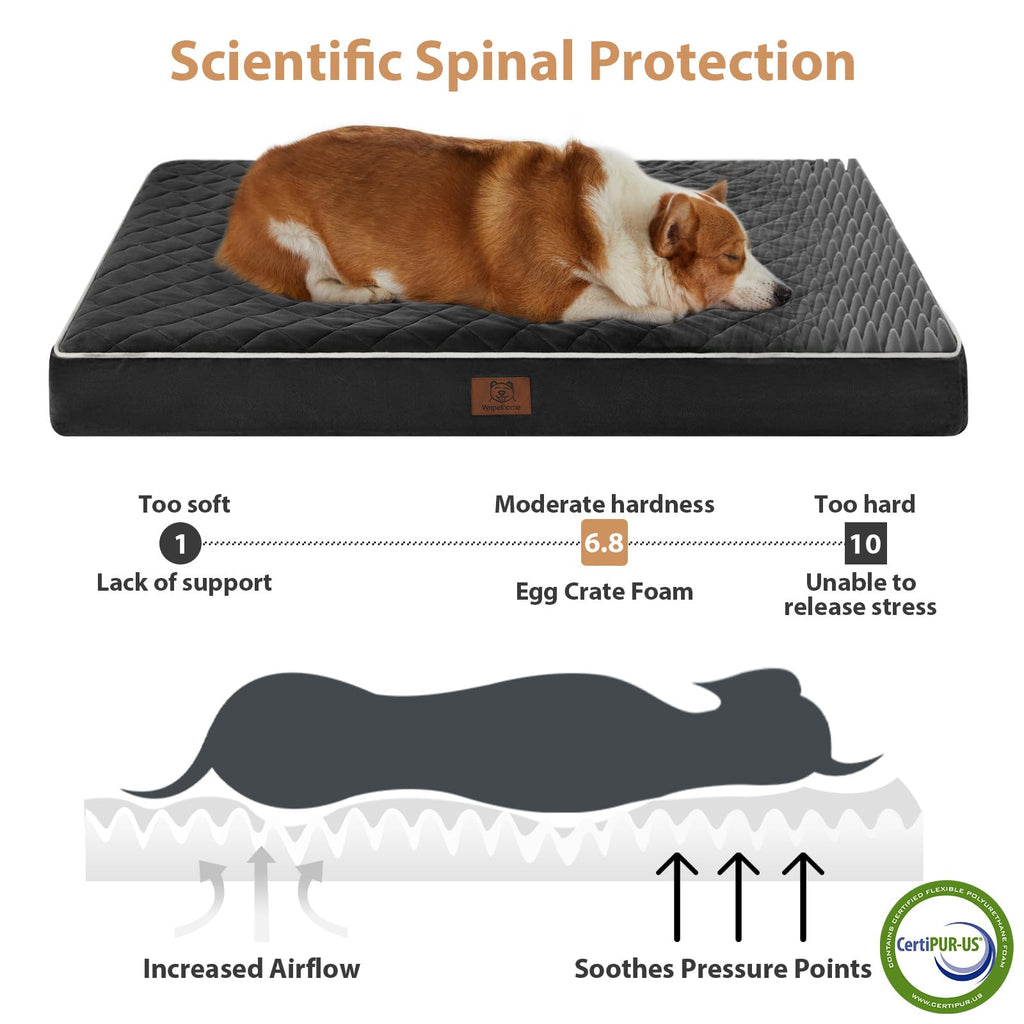 WNPETHOME — Cama Ortopédica Impermeable con Funda Lavable y Base Antideslizante para Perro