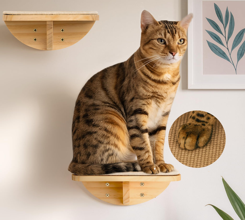 PELUO Curved — Cama Flotante para Gato con 2 Escalones de Pared y Percha de Ventana