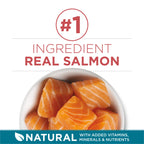 Purina ONE Tender Selects Blend — Croquetas Naturales con Salmón Real para Gato
