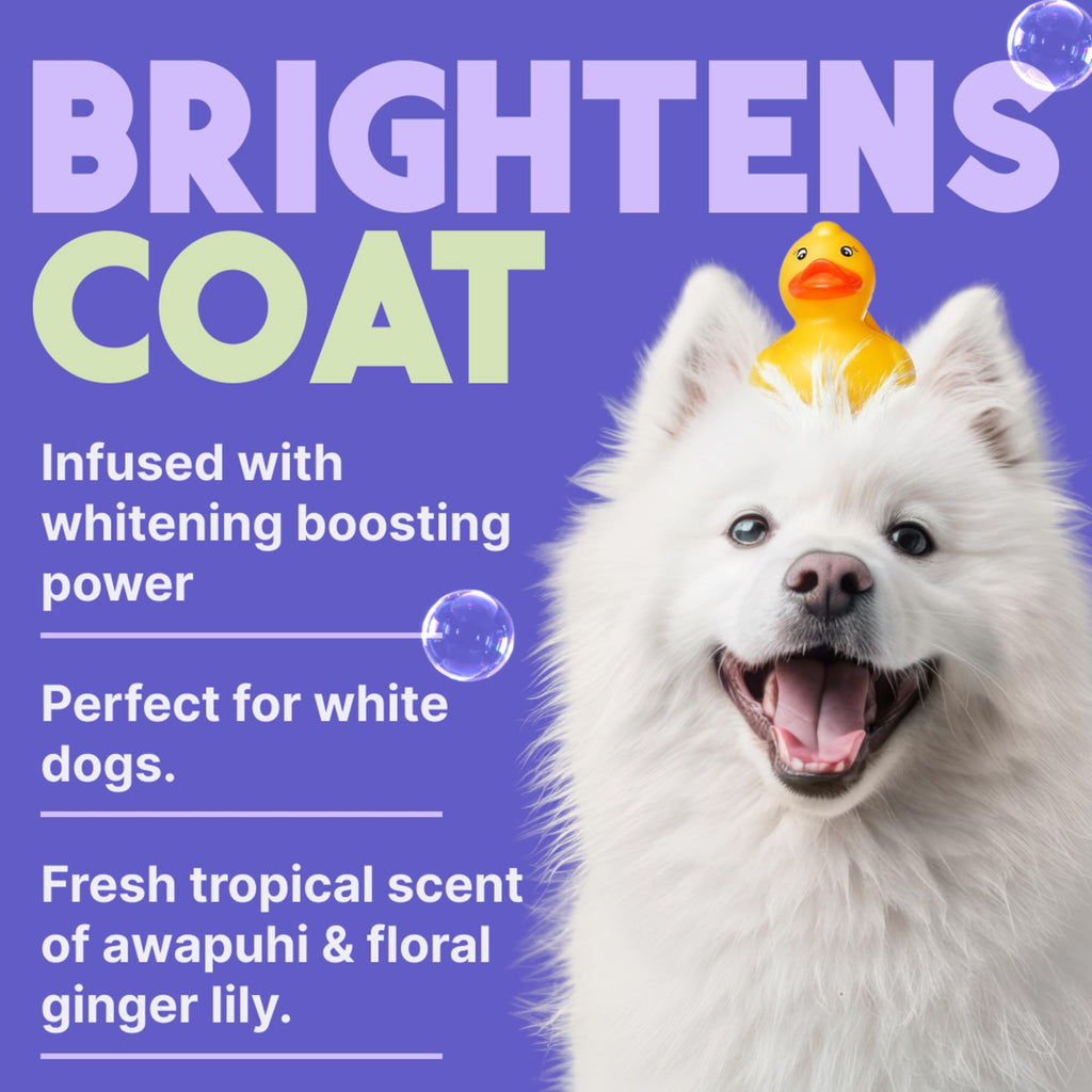TropiClean Shampoo Galón — Shampoo Natural de Limpieza Profunda para Perros y Gatos