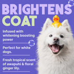TropiClean Shampoo Galón — Shampoo Natural de Limpieza Profunda para Perros y Gatos