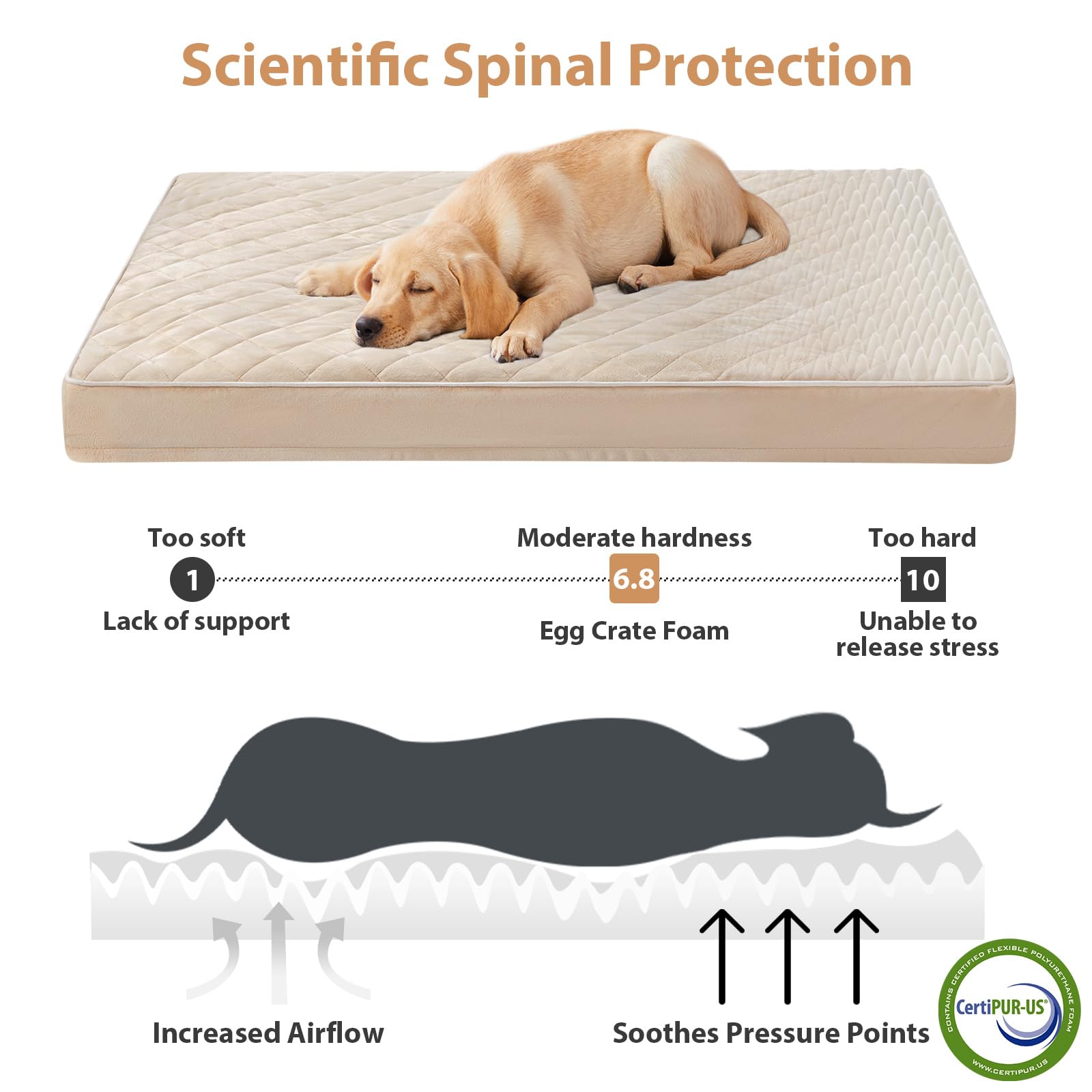 WNPETHOME — Cama Ortopédica Impermeable con Funda Lavable y Base Antideslizante para Perro