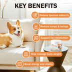Suplemento de L-Carnitina para Perros — Tratamiento Natural para Lipomas, Reduce Bultos y Bolas de Grasa, Mejora el Metabolismo de Grasas, Aumenta Energía y Vitalidad, Apoya la Salud Muscular y el Bienestar General