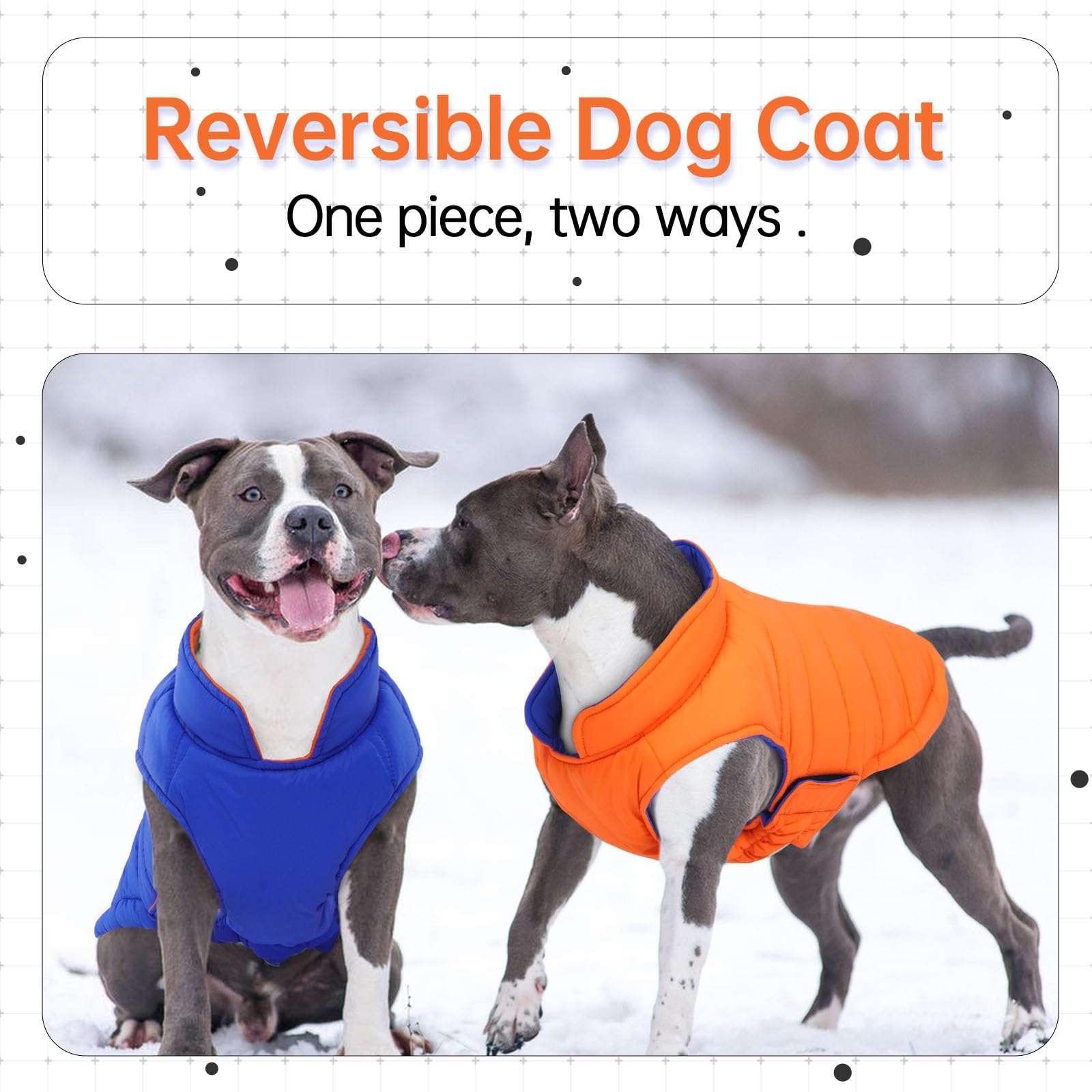 Lelepet — Chamarra Reversible Acolchada para Perro, Resistente al Viento y Agua, para Perros Pequeños
