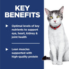 Hill's Science Diet — Alimento Seco Balanceado para Gato Adulto