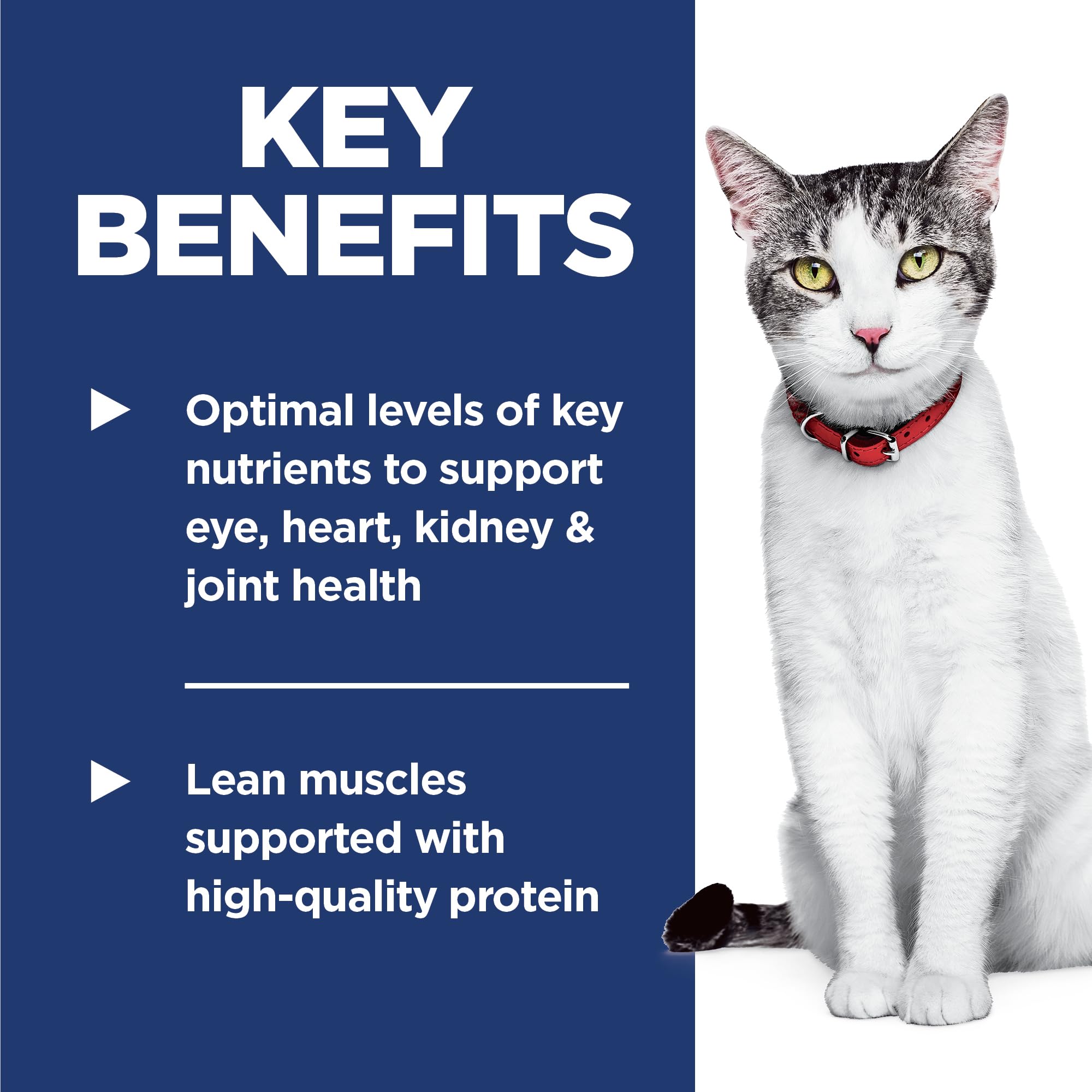 Hill's Science Diet — Alimento Seco Balanceado para Gato Adulto