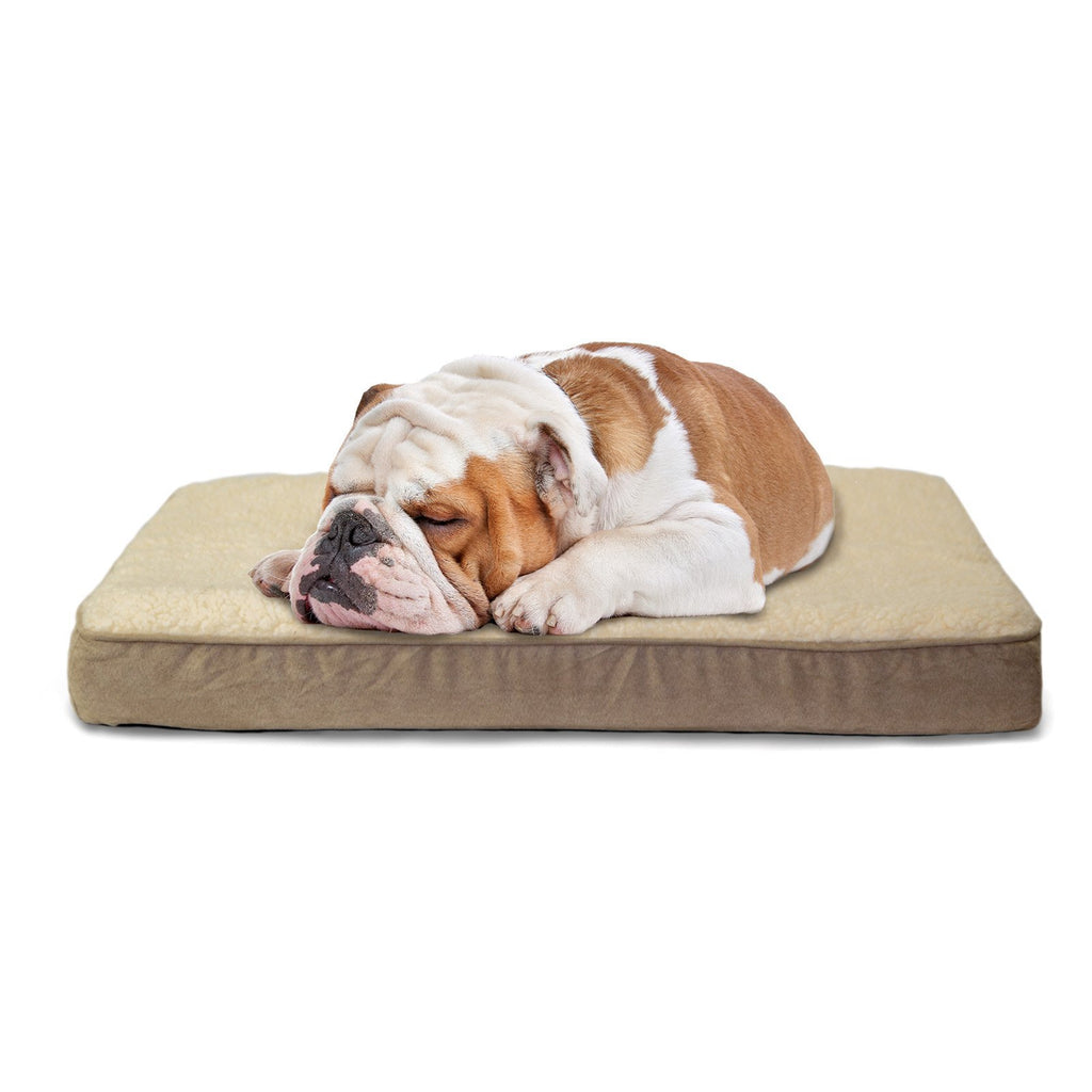 Furhaven — Cama Ortopédica con Cubierta Lavable y Desmontable para Perro