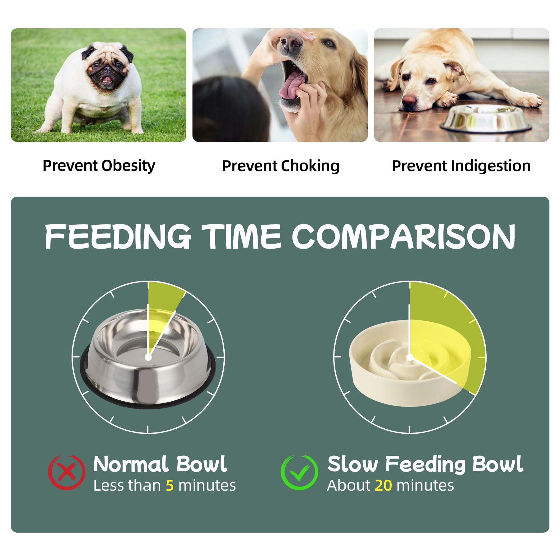 Havniva — Tazón Comedero Lento de Cerámica para Mascotas — Alimentación Pausada y Saludable para Perros y Gatos