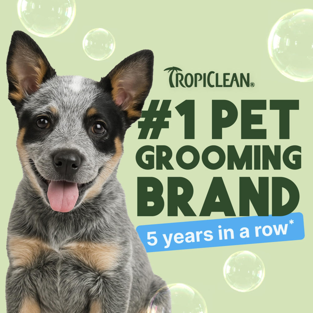 TropiClean Shampoo Galón — Shampoo Natural de Limpieza Profunda para Perros y Gatos