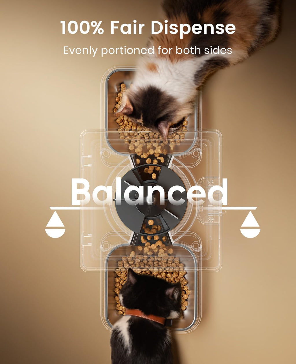 Oneisall — Comedero Automático para 2 Gatos y Mascotas Pequeñas con Dispensador de Alimento de 5L / 20 Tazas