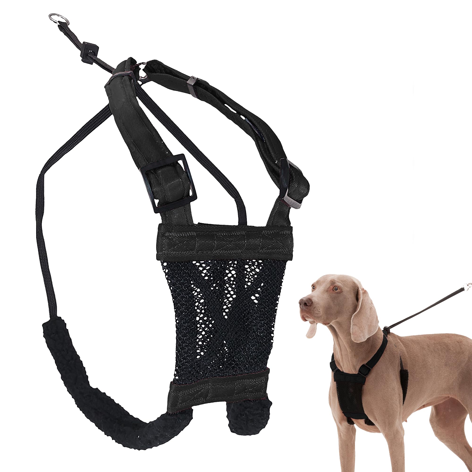 Sporn Mesh — Arnés Sin Jalar y Sin Ahorcar para Perro | Ideal para Entrenamiento