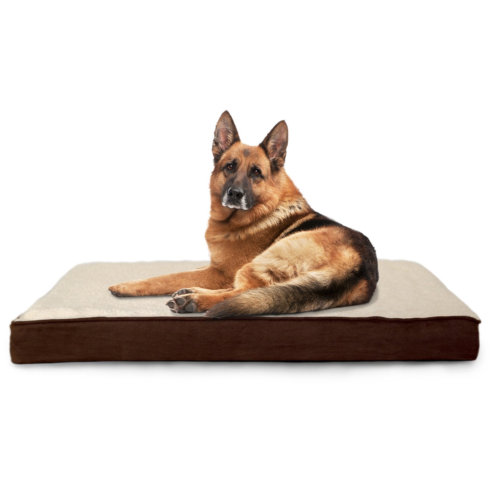 Furhaven — Cama Ortopédica con Cubierta Lavable y Desmontable para Perro