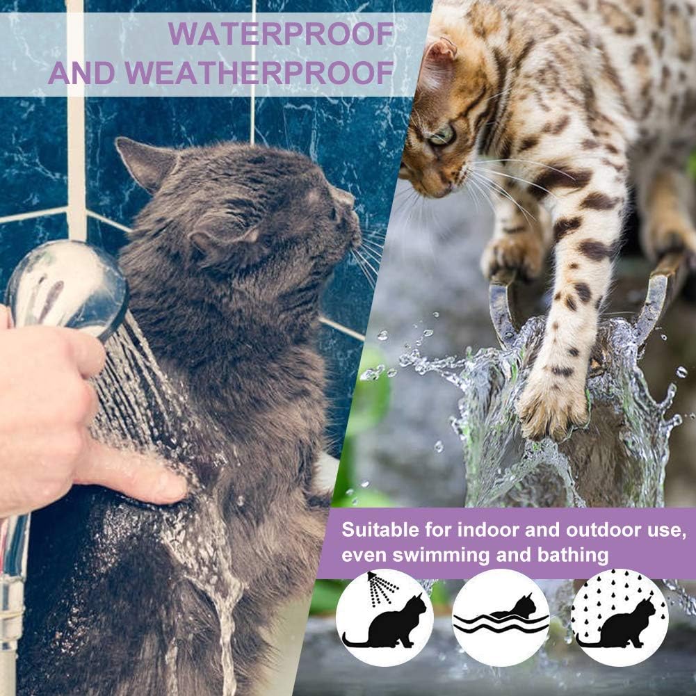 Nature's Miracle Urine Destroyer — Eliminador Enzimático de Orina para Perro
