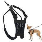 Sporn Mesh — Arnés Sin Jalar y Sin Ahorcar para Perro | Ideal para Entrenamiento