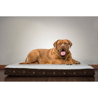 Furhaven — Cama Ortopédica con Cubierta Lavable y Desmontable para Perro