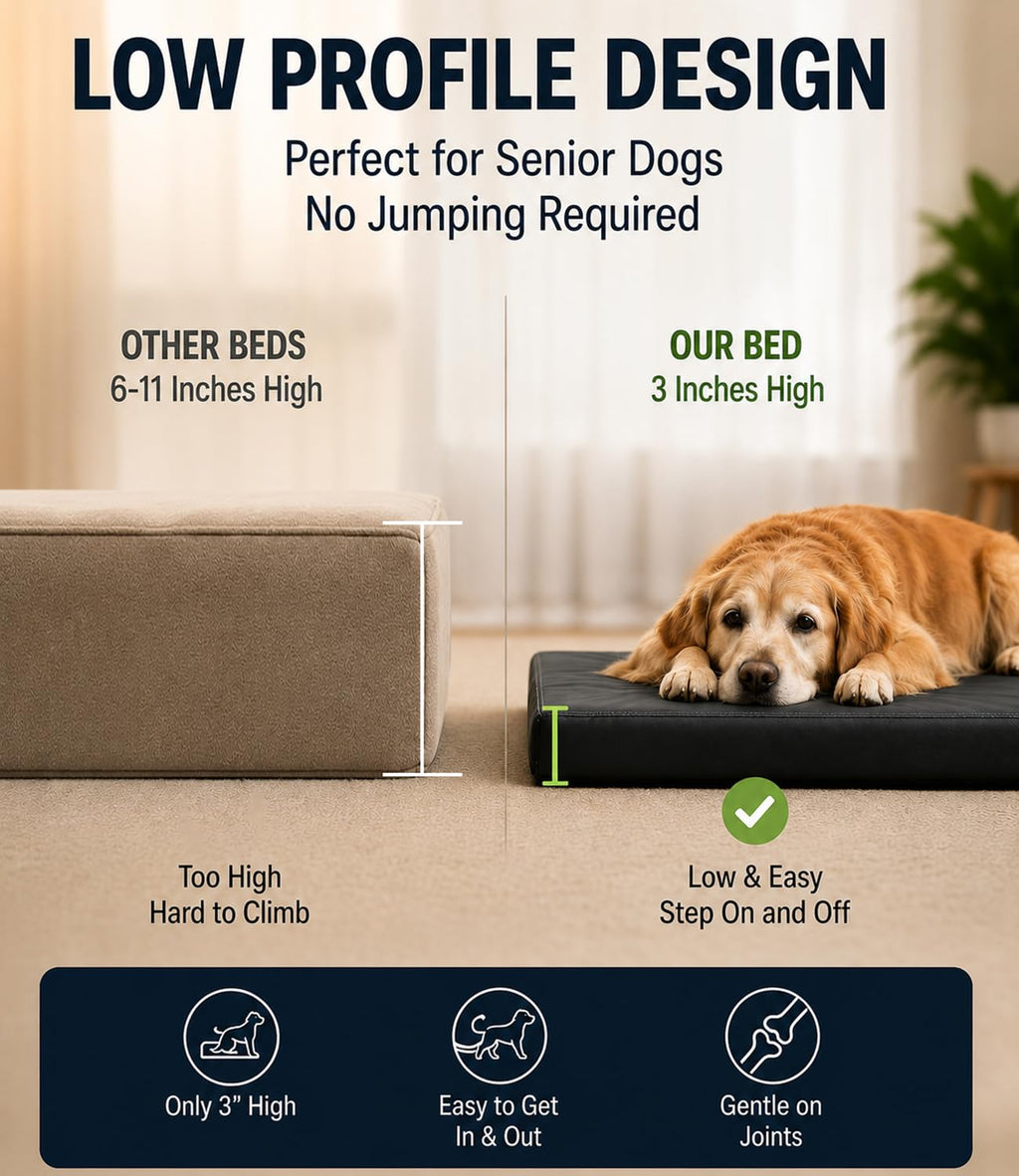 Cama Ortopédica de Piel con Memory Foam — Descanso Confortable para Perros Pequeños, Medianos y Grandes