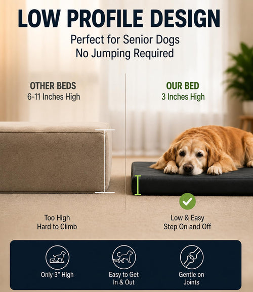 Cama Ortopédica de Piel con Memory Foam — Descanso Confortable para Perros Pequeños, Medianos y Grandes