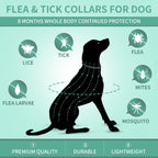 Puyrzoe Collar Antipulgas y Garrapatas para Perros y Cachorros — Paquete de 4 Collares con 32 Meses de Protección, Impermeable, Ajustable y de Liberación Lenta (Negro)