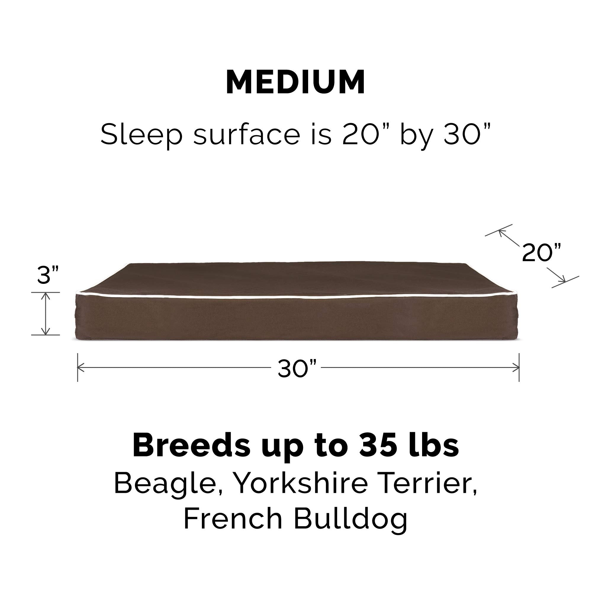 Furhaven — Cama Ortopédica con Cubierta Lavable y Desmontable para Perro