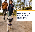 Ruffwear Front Range — Arnés Acolchado con Doble Enganche y Fácil Ajuste para Perro