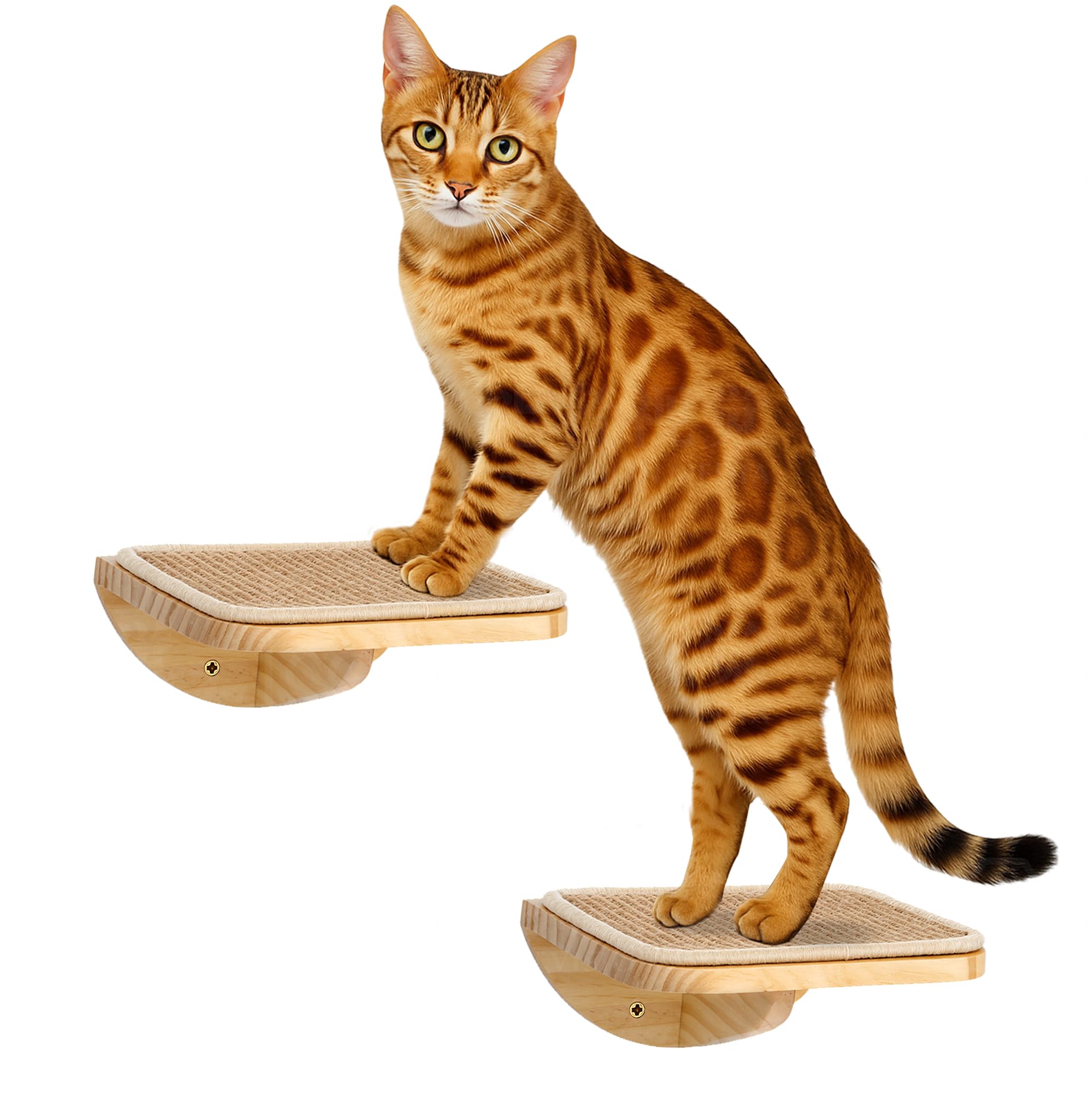 PELUO Curved — Cama Flotante para Gato con 2 Escalones de Pared y Percha de Ventana