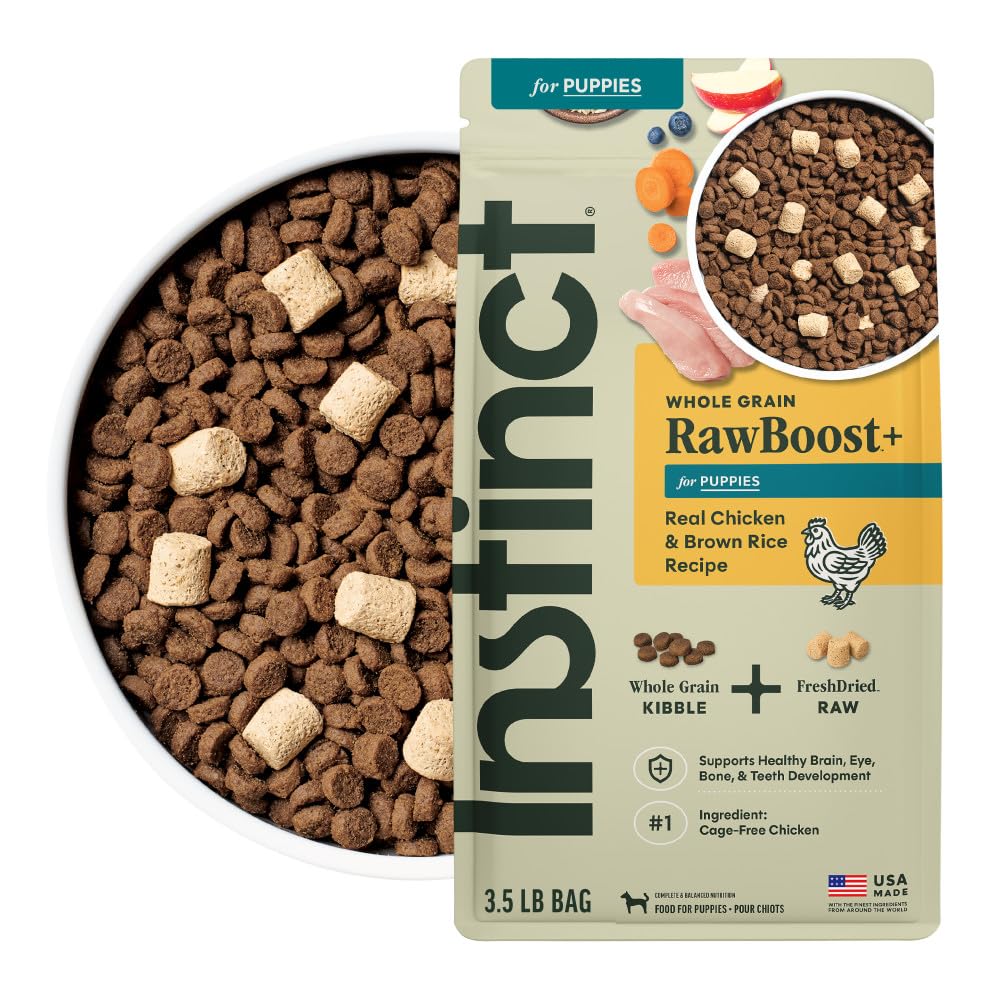 Instinct RawBoost Whole Grain — Alimento para Perro con Trozos de Pollo Crudo Deshidratado y Granos Enteros
