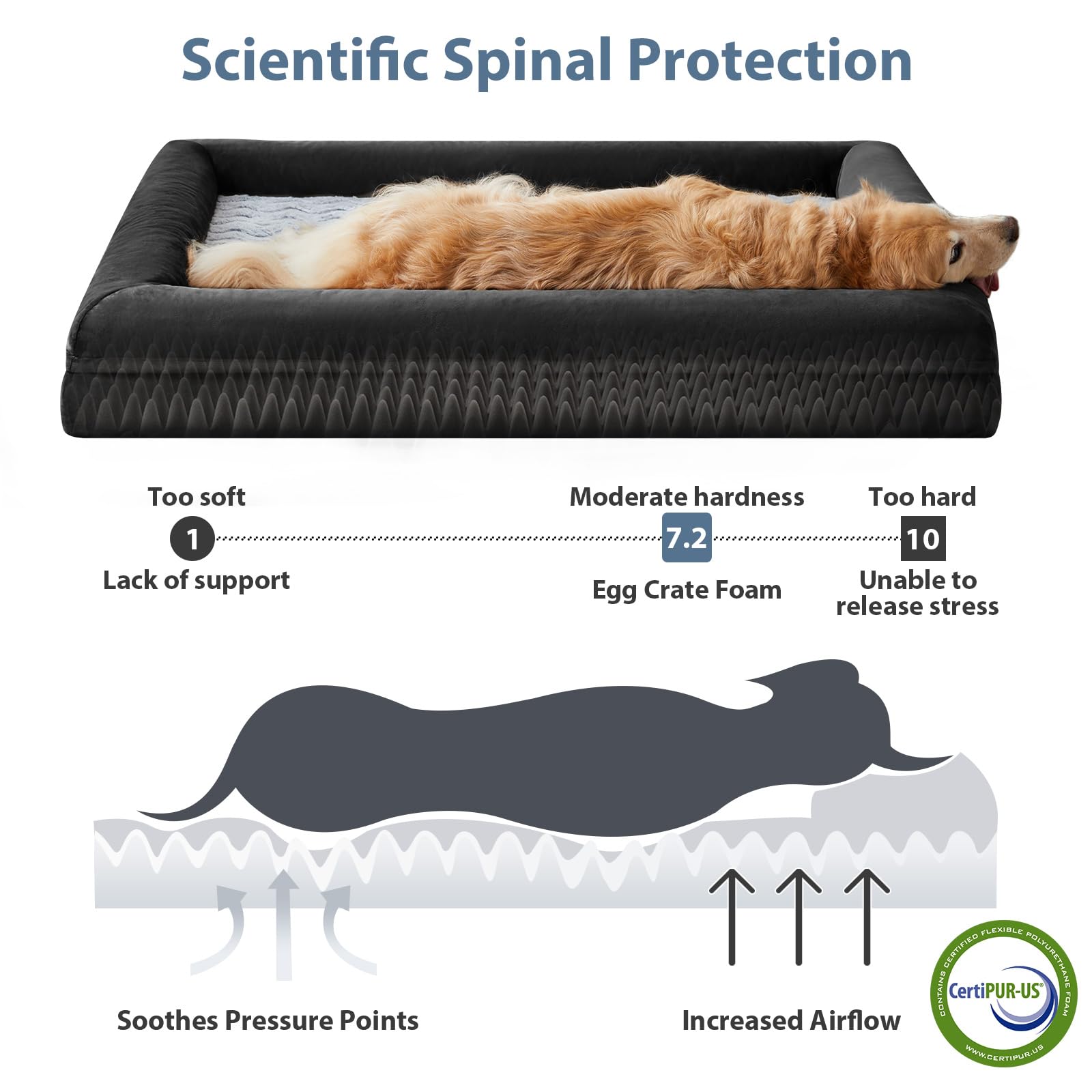 WNPETHOME — Cama Ortopédica Sofá para Perro XL con Cubierta Extraíble Impermeable y Bordes Acolchados