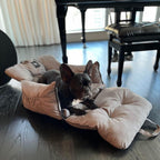 Jacko & Co — Asiento de Auto Premium para Perros Pequeños y Cachorros con Correa de Seguridad, Bolsillos de Almacenamiento y Funda Lavable a Máquina