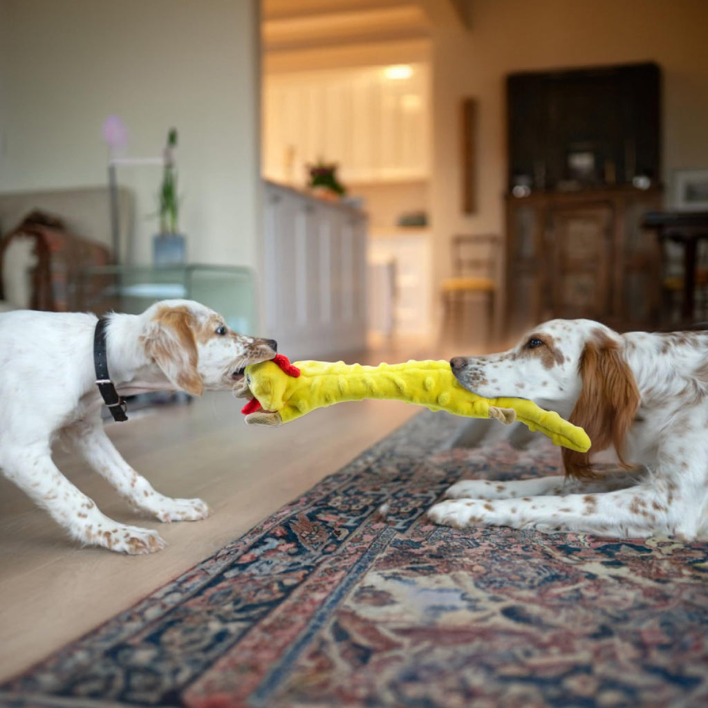 SHARLOVY Bubble Plush — Juguetes de Peluche Chirriantes y Crujientes sin Relleno para Perro