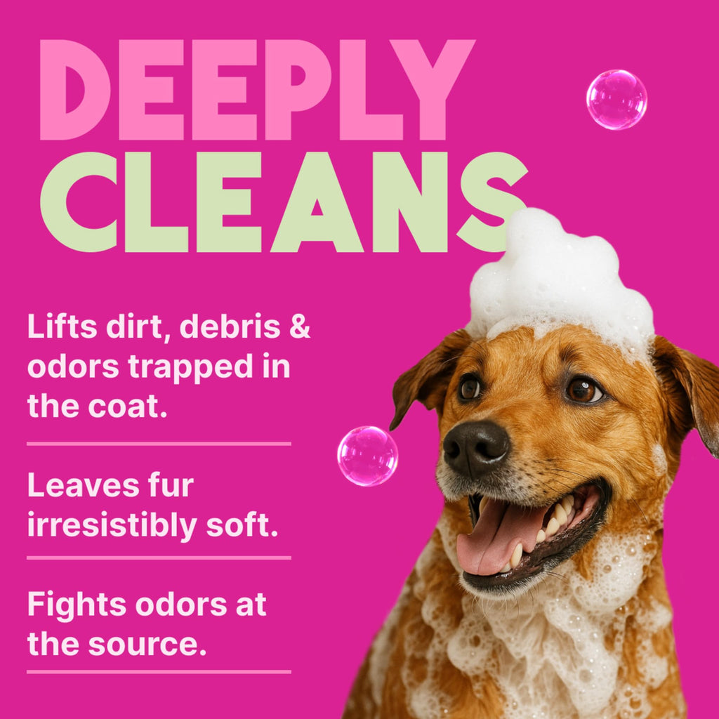 TropiClean Shampoo Galón — Shampoo Natural de Limpieza Profunda para Perros y Gatos
