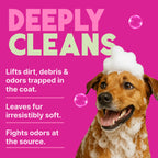 TropiClean Shampoo Galón — Shampoo Natural de Limpieza Profunda para Perros y Gatos