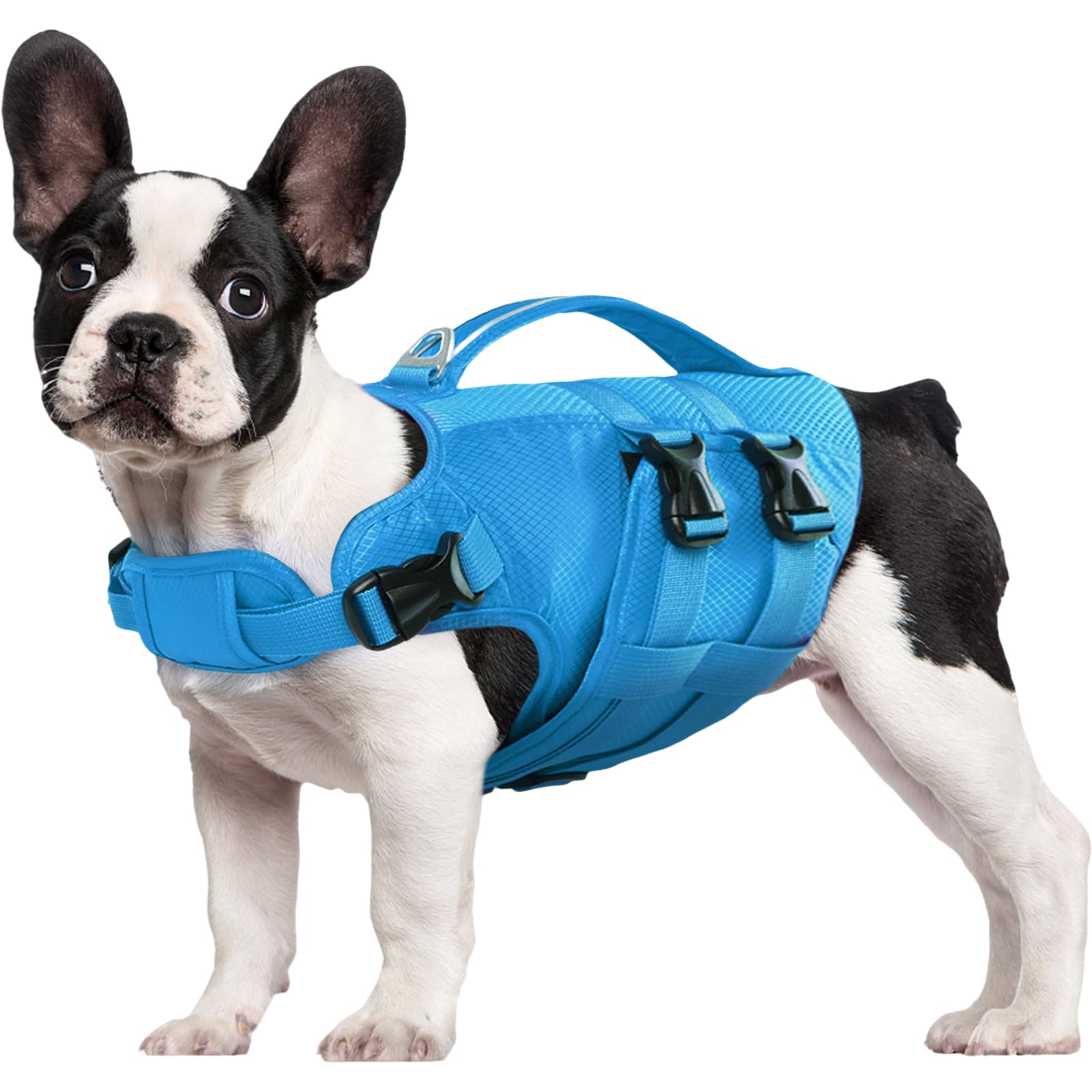 Kuoser — Chaleco Salvavidas Ajustable con Asa de Rescate y Reflectores para Perro
