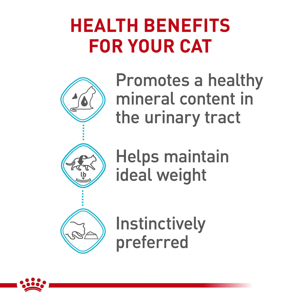 Royal Canin Feline Care Nutrition Urinary Care — Alimento Húmedo para Gatos Adultos en Rodajas Delgadas en Salsa, 85g (Pack de 6)