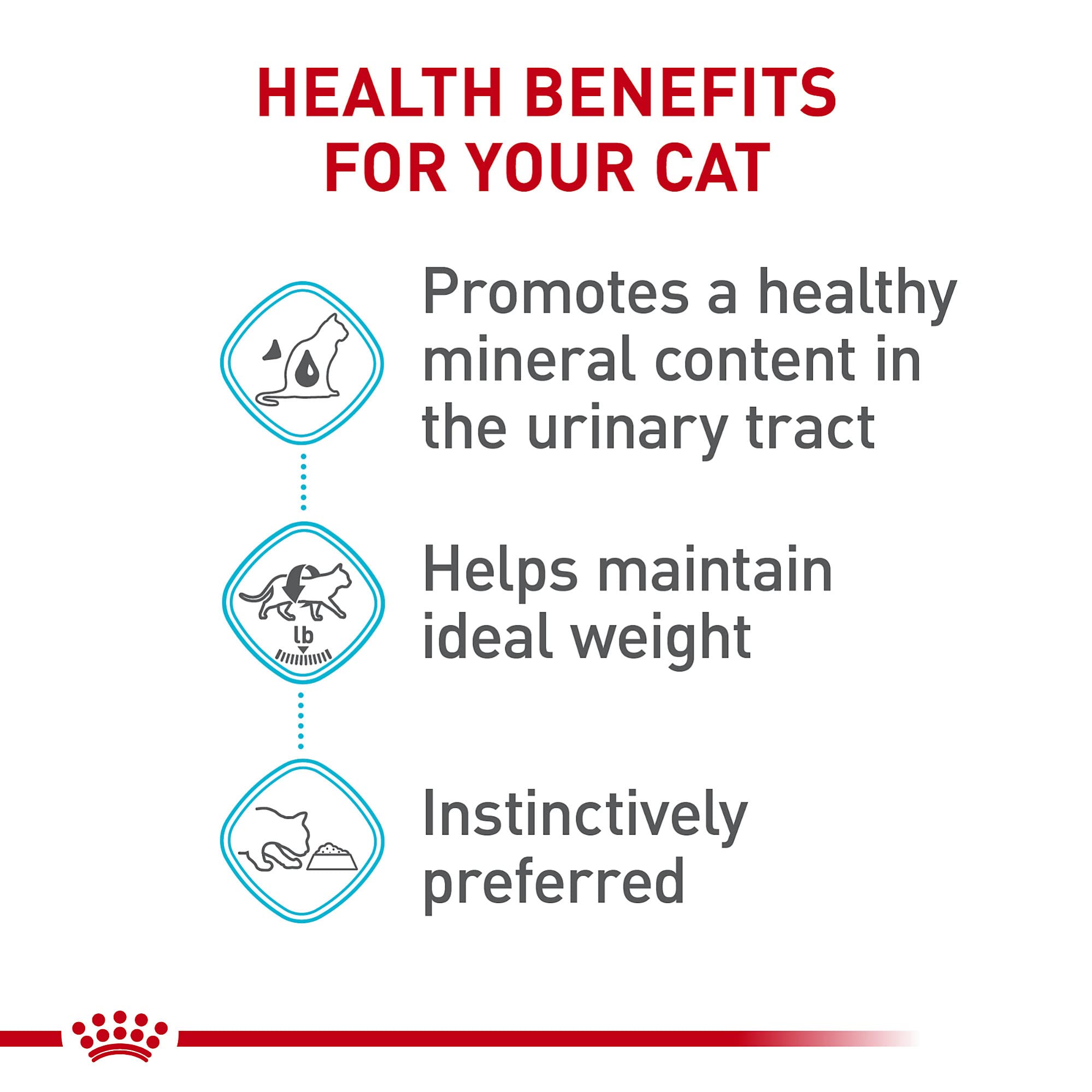 Royal Canin Feline Care Nutrition Urinary Care — Alimento Húmedo para Gatos Adultos en Rodajas Delgadas en Salsa, 85g (Pack de 6)
