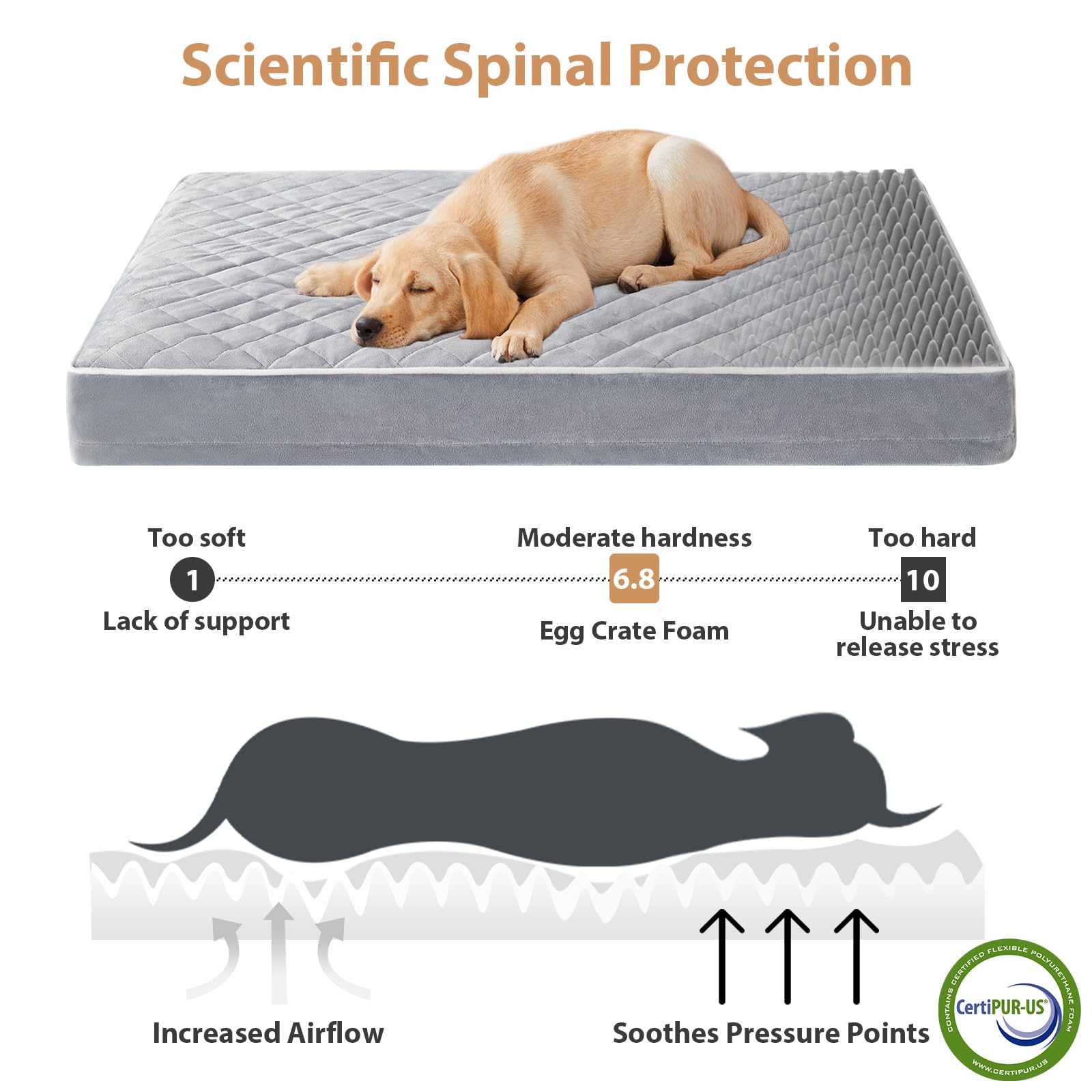 WNPETHOME — Cama Ortopédica Impermeable con Funda Lavable y Base Antideslizante para Perro