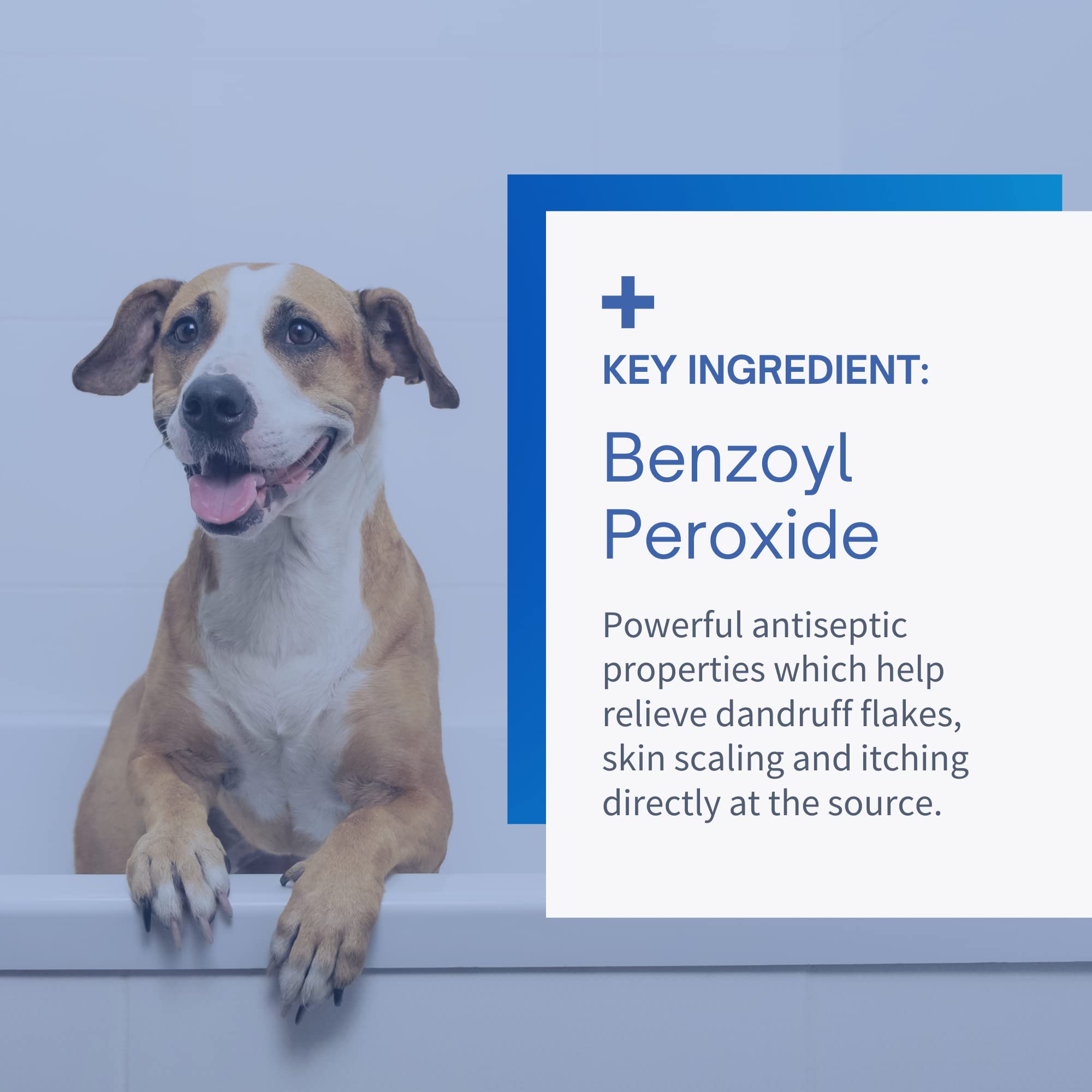 SensoVet Shampoo Anticaspa para Perros y Gatos con Peróxido de Benzoilo y Vitamina E — Alivio para Piel Seca, Seborrea, Foliculitis, Dermatitis, Acné y Descamación — 355 ml (12 oz)