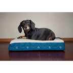 Furhaven — Cama Ortopédica con Cubierta Lavable y Desmontable para Perro