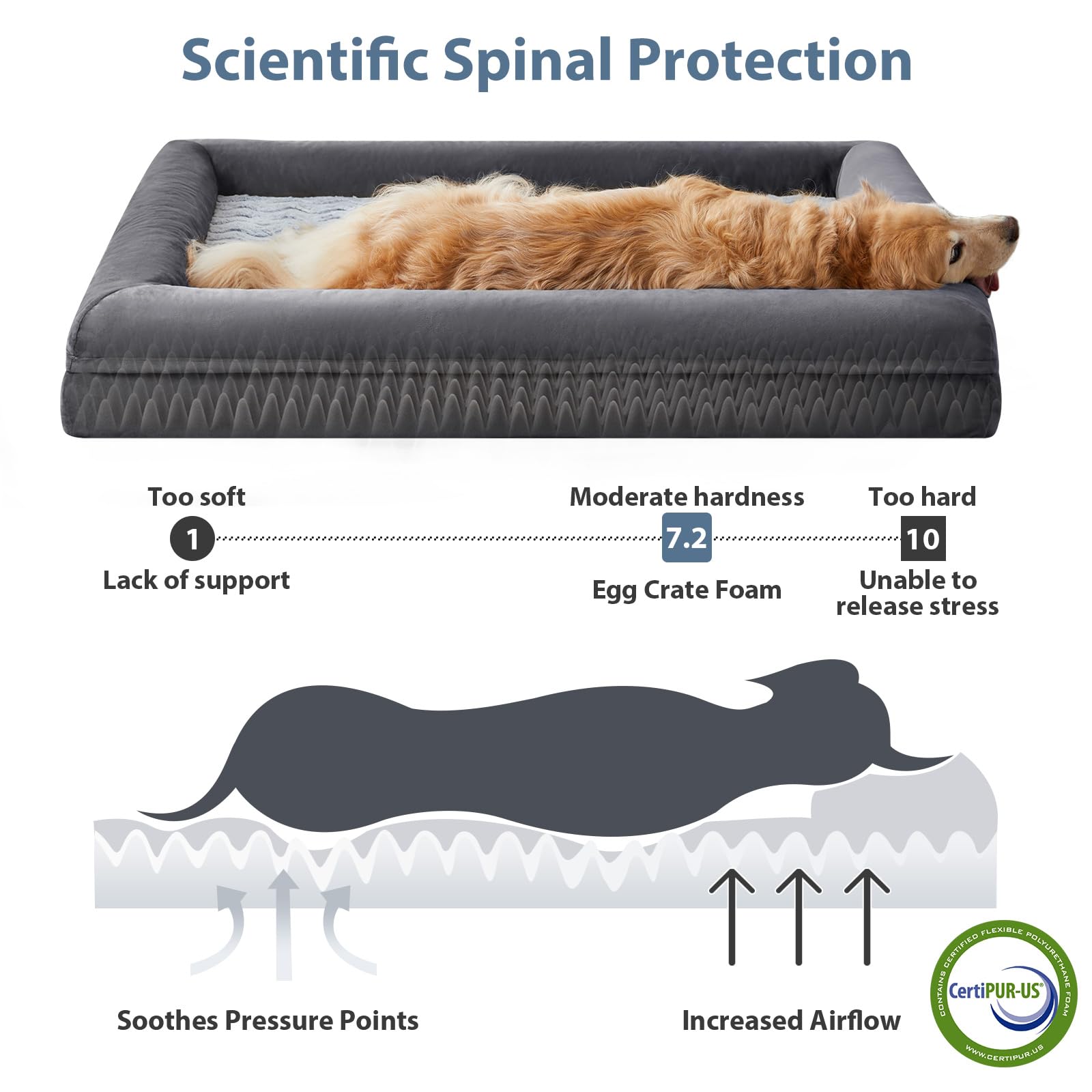 WNPETHOME — Cama Ortopédica Sofá para Perro XL con Cubierta Extraíble Impermeable y Bordes Acolchados