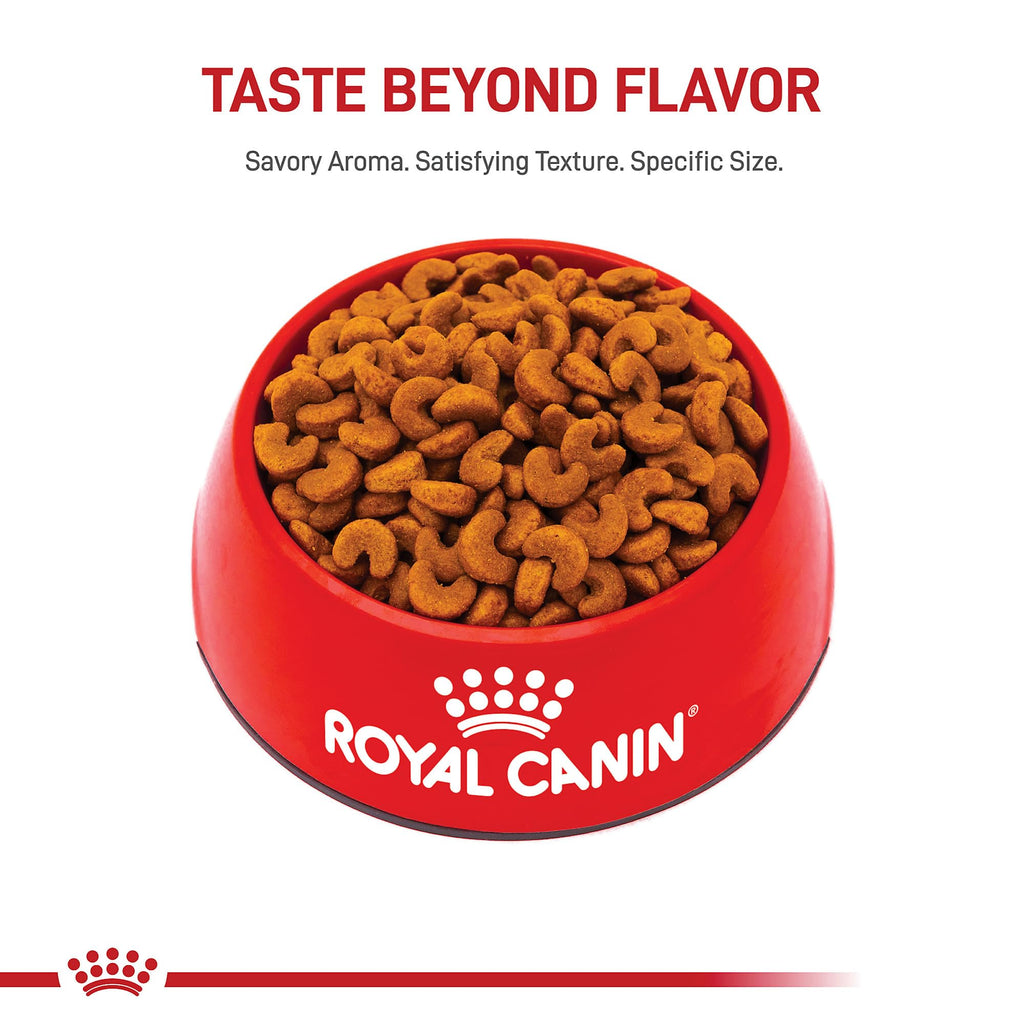 Royal Canin French Bulldog Puppy — Croquetas Especializadas para Cachorros de Bulldog Francés