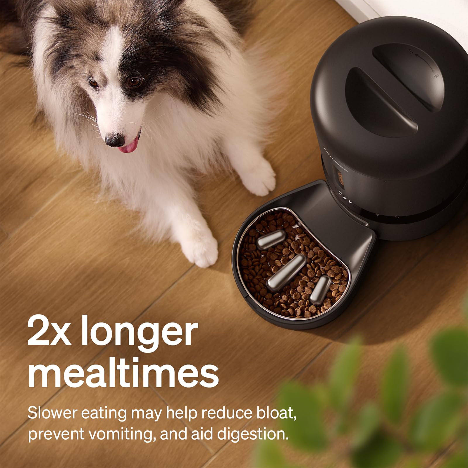 PETLIBRO — Comedero Automático WiFi 5G con Dispensador de Alimento para Gatos y Perros, 5L, hasta 10 Comidas por Día y Sensor de Alimento Bajo