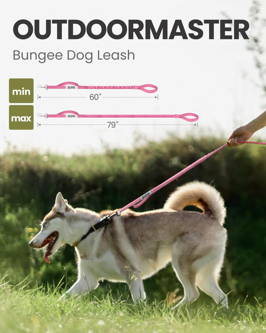 OutdoorMaster Bungee — Correa Elástica con Doble Mango Acolchado y Mosquetón 360° para Perro