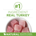 Purina ONE Indoor Advantage — Alimento Seco Natural para Gato Adulto de Interior con Control de Peso y Reducción de Bolas de Pelo, con Salmón Real