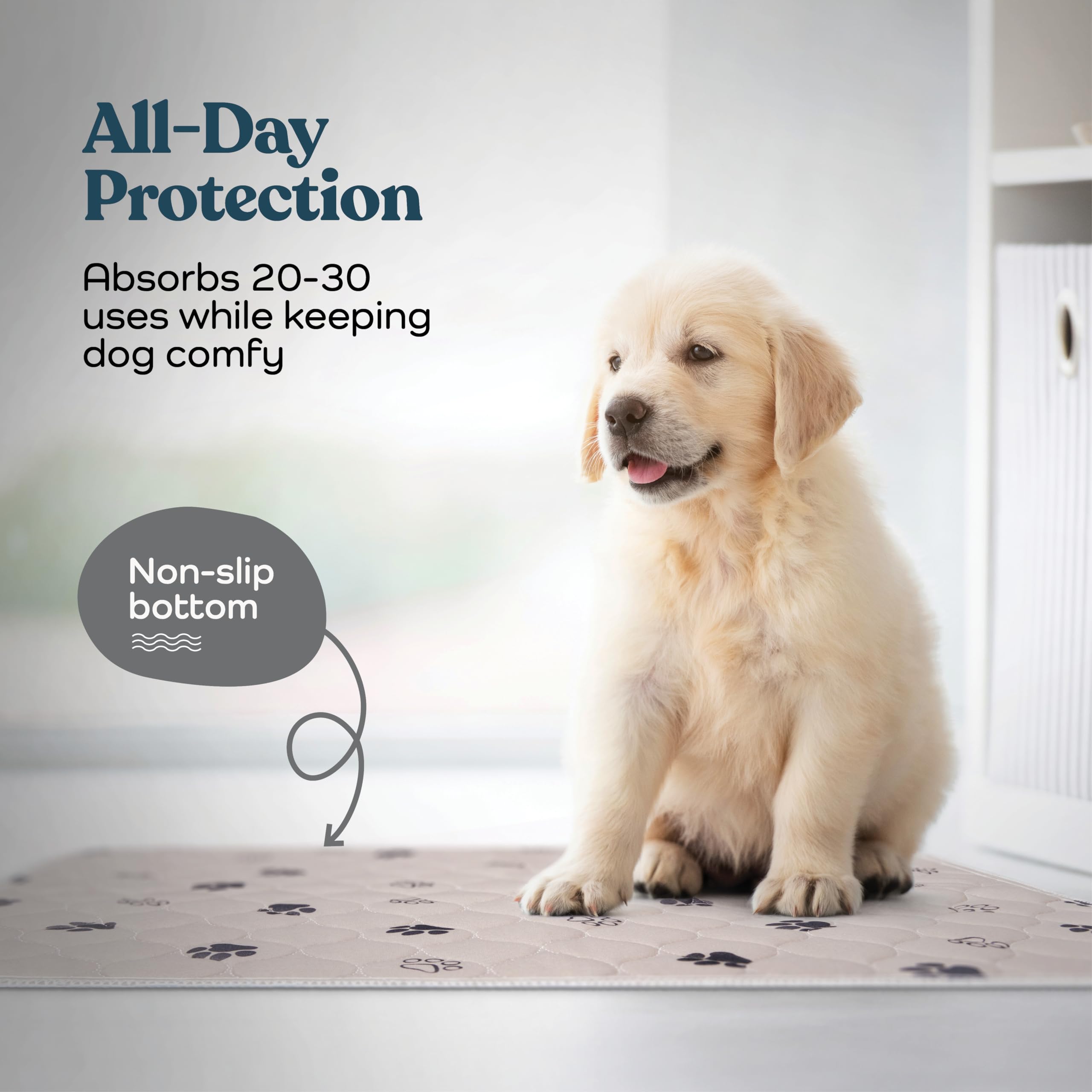 Tapete Entrenador Lavable y Reutilizable para Perros — Protección Impermeable Súper Absorbente contra Orina, Paquete de 2