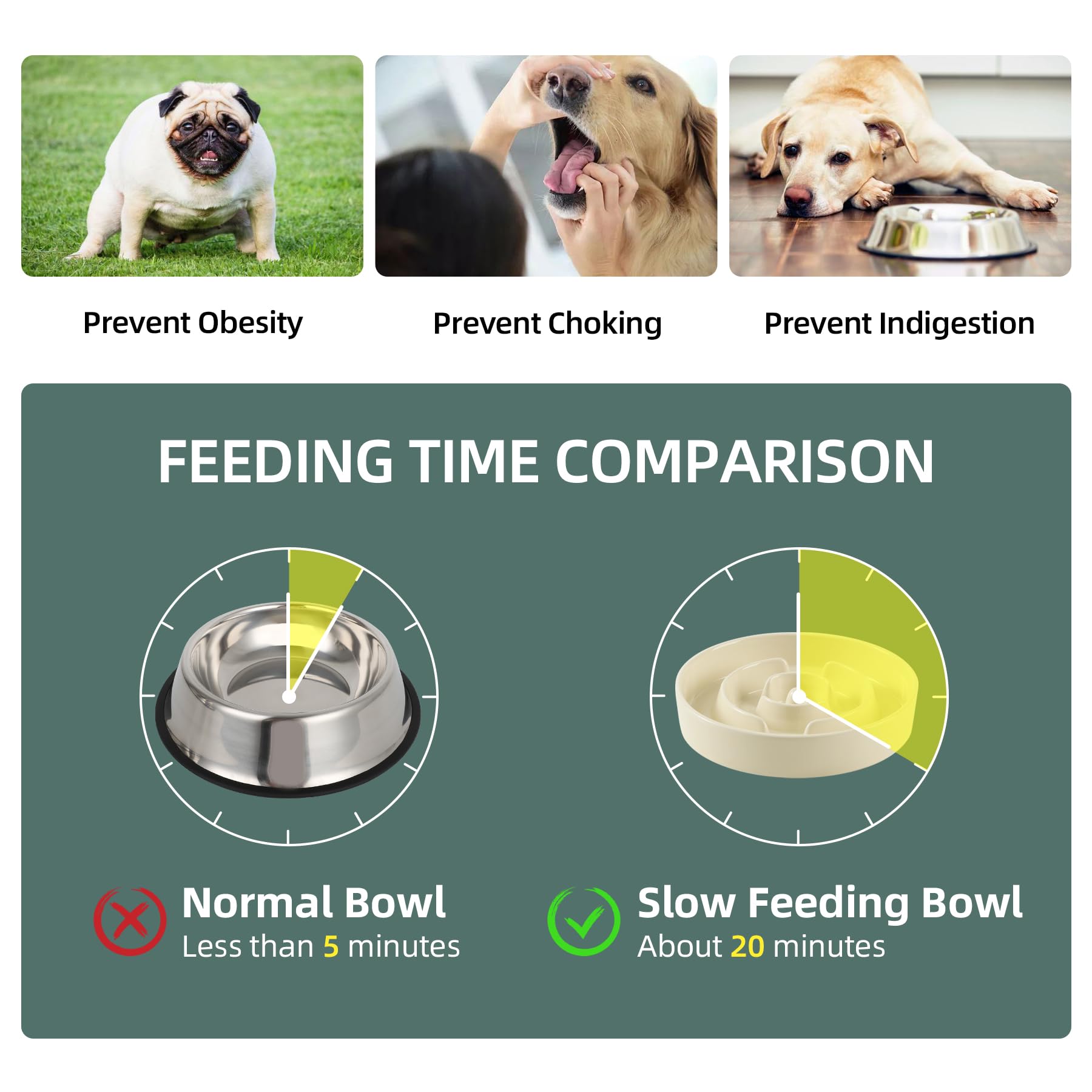 Havniva — Tazón Comedero Lento de Cerámica para Mascotas — Alimentación Pausada y Saludable para Perros y Gatos