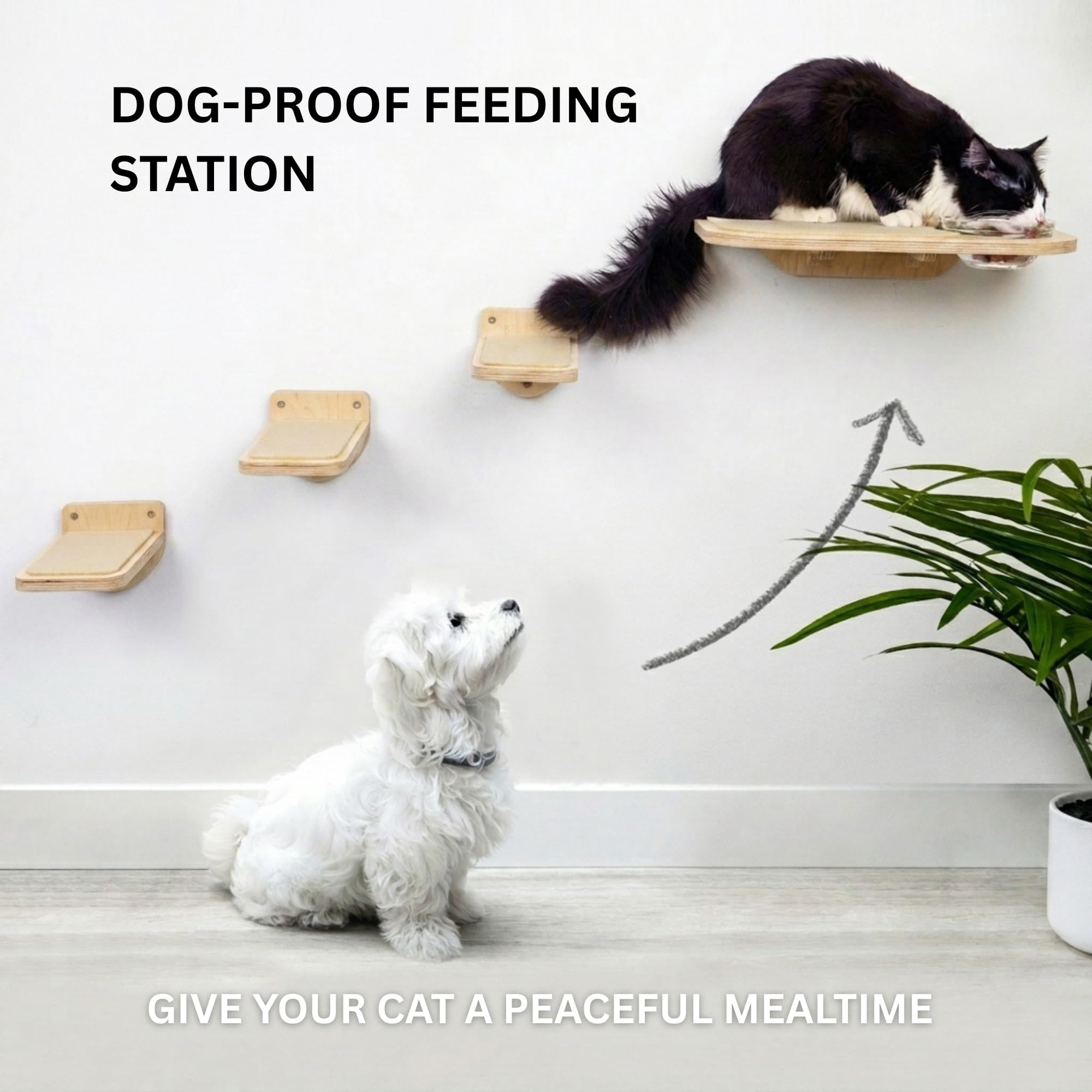 Estantes de Abedul para Gatos — Mueble de Pared con 3 Escalones y Tazones de Vidrio para Alimentación