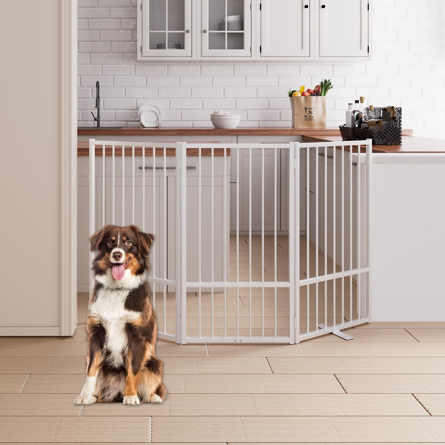 Corralito y Reja Divisoria de Metal para Perros — Puerta Abatible, Plegable y Autoportante para Interiores