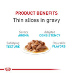 Royal Canin Feline Care Nutrition Urinary Care — Alimento Húmedo para Gatos Adultos en Rodajas Delgadas en Salsa, 85g (Pack de 6)