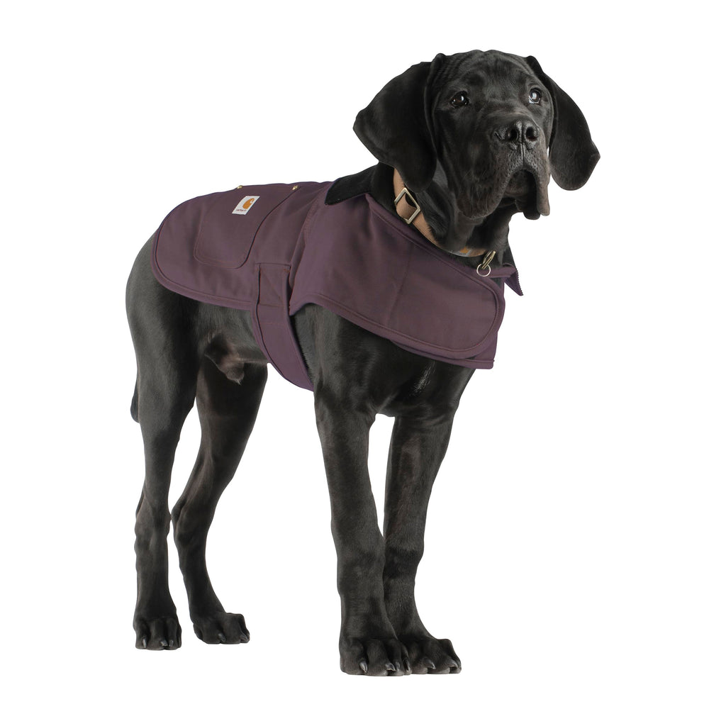 Carhartt Firm Duck — Abrigo Impermeable Acolchado para Perro, Resistente al Viento y Frío
