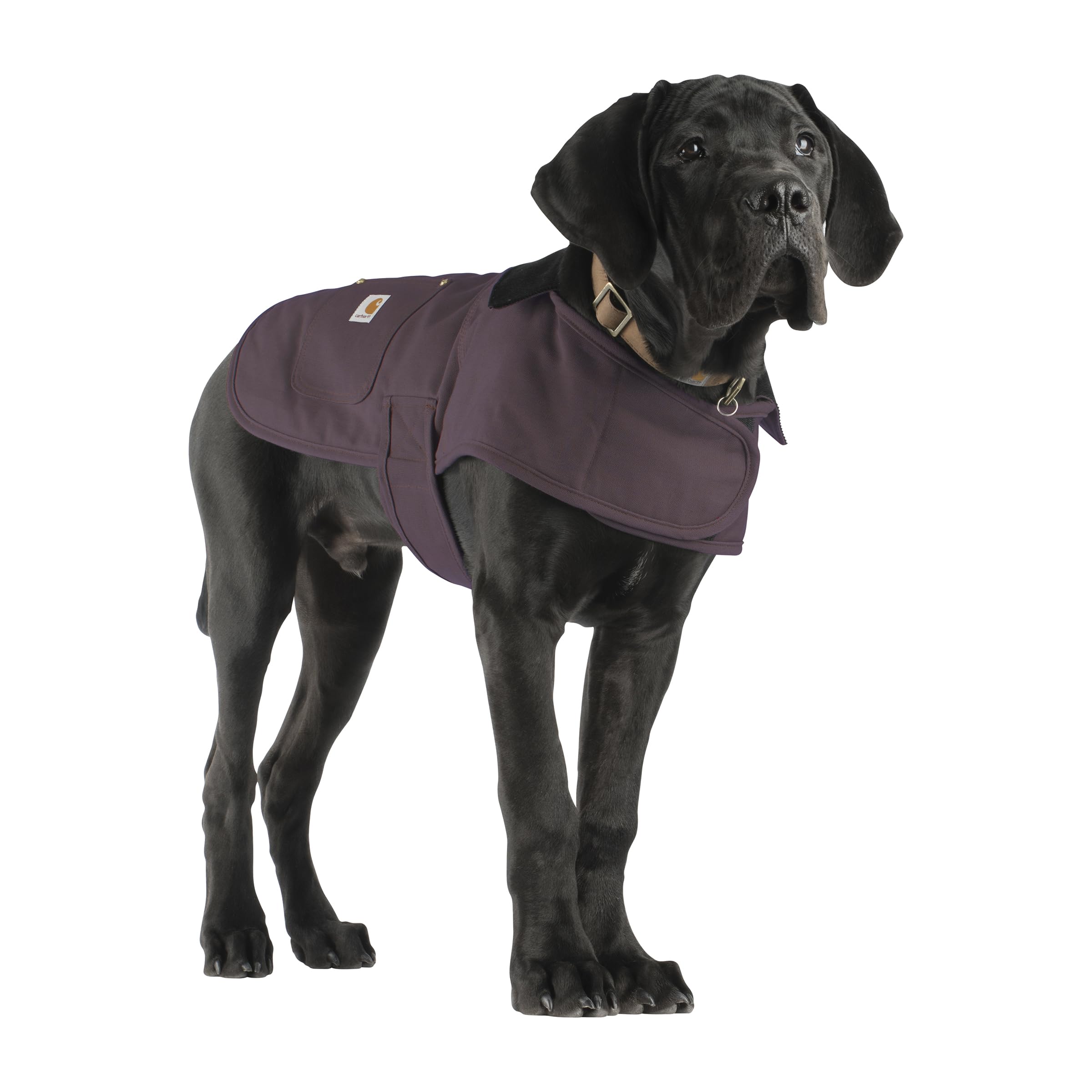 Carhartt Firm Duck — Abrigo Impermeable Acolchado para Perro, Resistente al Viento y Frío